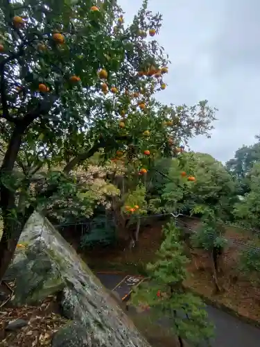 和歌山縣護國神社の{uncategorized: "未分類", other: "その他", undefined: "問題あり", building: "その他建物", grave: "お墓", sacred_gate: "鳥居", guardian: "狛犬", statue: "像", buddha: "仏像", history: "歴史", nature: "自然", garden: "庭園", animal: "動物", pagoda: "塔", temizu: "手水舎", mountain_gate: "山門・神門", sanctuary: "本殿・本堂", subordinate: "末社・摂社", art: "芸術", scenery: "景色", jizo: "地蔵", ema: "絵馬", goshuin: "御朱印", omikuji: "おみくじ", items: "授与品その他", amulet: "お守り", goshuincho: "御朱印帳", eats: "食事", festival: "お祭り", votive_dance: "神楽", shichigosan: "七五三参", wedding: "結婚式", experience: "体験その他", initially: "初詣", around: "周辺", anti_infection: "感染症対策"}