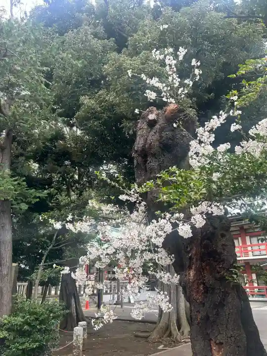 瀬田玉川神社(東京都)