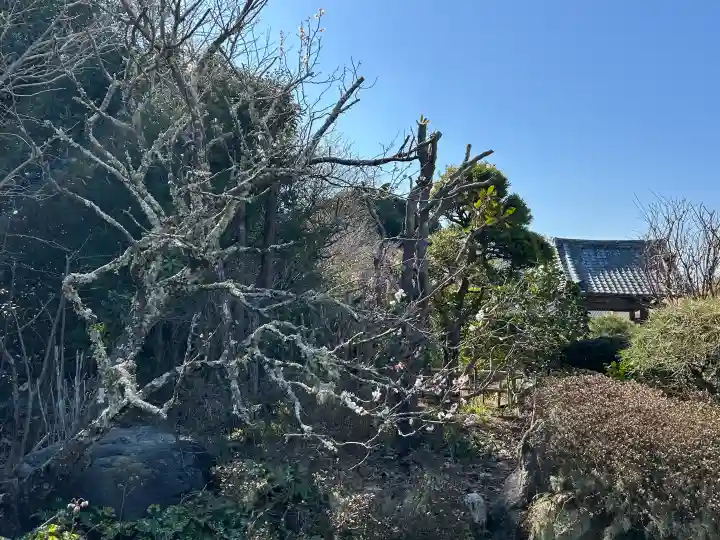 大巌院の{uncategorized: "未分類", other: "その他", undefined: "問題あり", building: "その他建物", grave: "お墓", sacred_gate: "鳥居", guardian: "狛犬", statue: "像", buddha: "仏像", history: "歴史", nature: "自然", garden: "庭園", animal: "動物", pagoda: "塔", temizu: "手水舎", mountain_gate: "山門・神門", sanctuary: "本殿・本堂", subordinate: "末社・摂社", art: "芸術", scenery: "景色", jizo: "地蔵", ema: "絵馬", goshuin: "御朱印", omikuji: "おみくじ", items: "授与品その他", amulet: "お守り", goshuincho: "御朱印帳", eats: "食事", festival: "お祭り", votive_dance: "神楽", shichigosan: "七五三参", wedding: "結婚式", experience: "体験その他", initially: "初詣", around: "周辺", anti_infection: "感染症対策"}