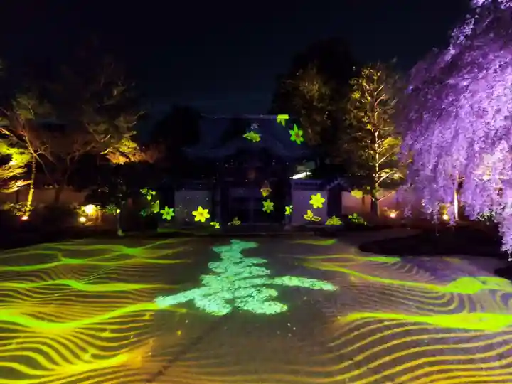 高台寺(高台寿聖禅寺・高臺寺)(京都府)
