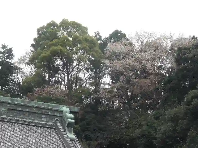妙本寺のその他建物
