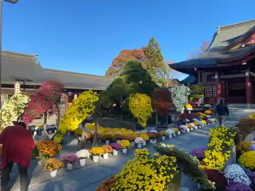 笠間稲荷神社の庭園