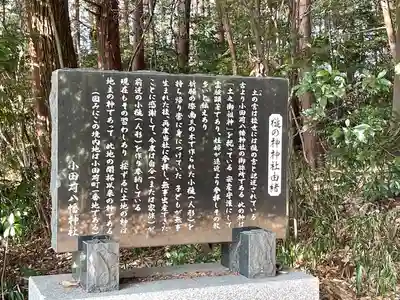 槌之神神社の歴史