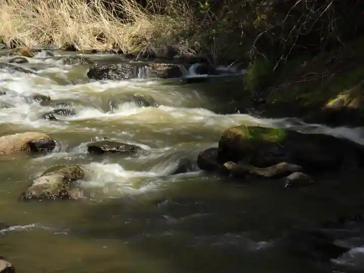 金櫻神社の{uncategorized: "未分類", other: "その他", undefined: "問題あり", building: "その他建物", grave: "お墓", sacred_gate: "鳥居", guardian: "狛犬", statue: "像", buddha: "仏像", history: "歴史", nature: "自然", garden: "庭園", animal: "動物", pagoda: "塔", temizu: "手水舎", mountain_gate: "山門・神門", sanctuary: "本殿・本堂", subordinate: "末社・摂社", art: "芸術", scenery: "景色", jizo: "地蔵", ema: "絵馬", goshuin: "御朱印", omikuji: "おみくじ", items: "授与品その他", amulet: "お守り", goshuincho: "御朱印帳", eats: "食事", festival: "お祭り", votive_dance: "神楽", shichigosan: "七五三参", wedding: "結婚式", experience: "体験その他", initially: "初詣", around: "周辺", anti_infection: "感染症対策"}