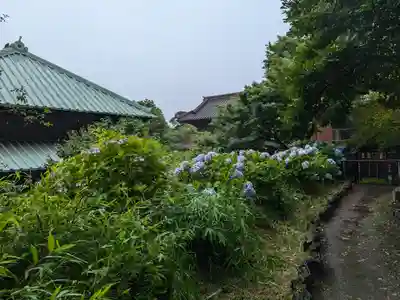 英勝寺(神奈川県)