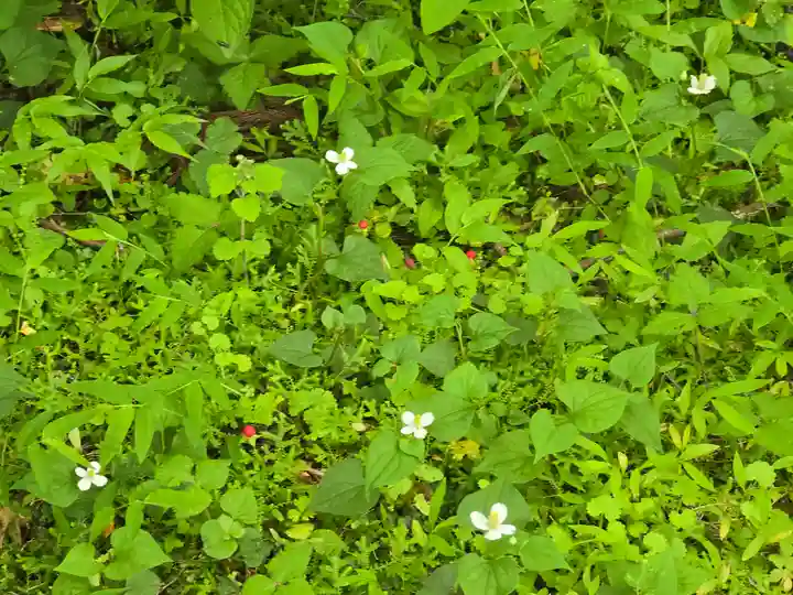 百済寺(滋賀県)
