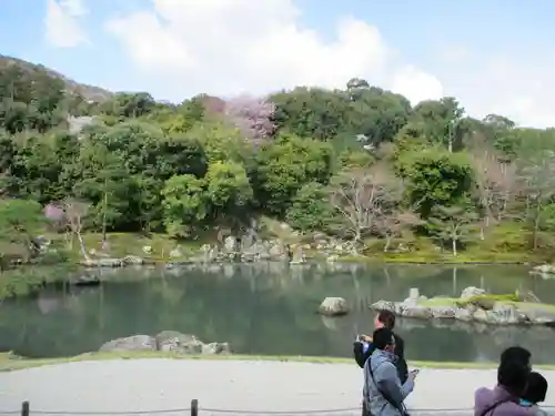 天龍寺の庭園