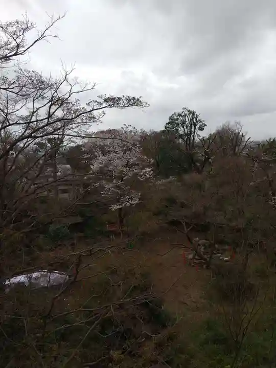明王院(満願寺別院)の自然