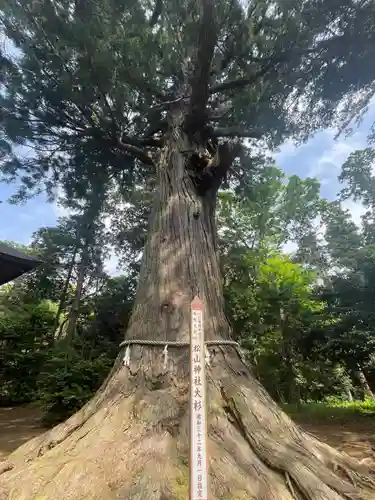 松山神社(千葉県)