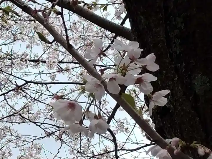 報国寺(神奈川県)