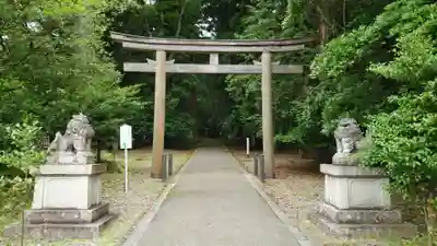 若狭彦神社（上社）の鳥居