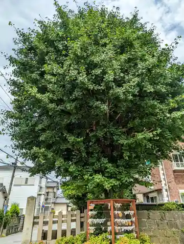 叶神社（東叶神社）の自然
