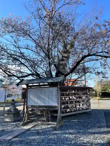 津島神社(宮城県)