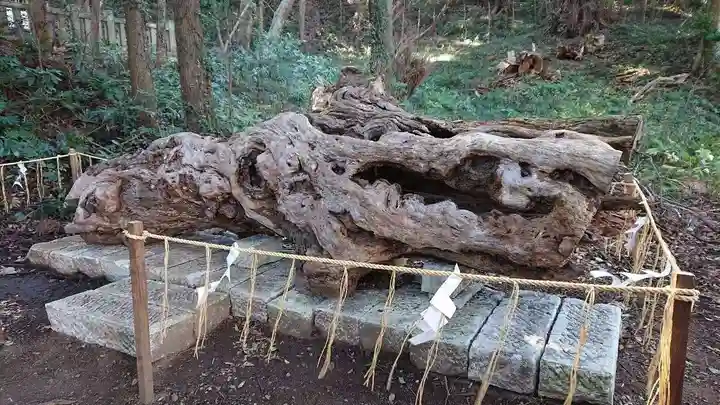 泉神社(茨城県)