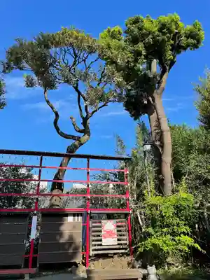 居木神社(東京都)