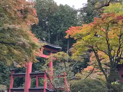 北口本宮冨士浅間神社(山梨県)