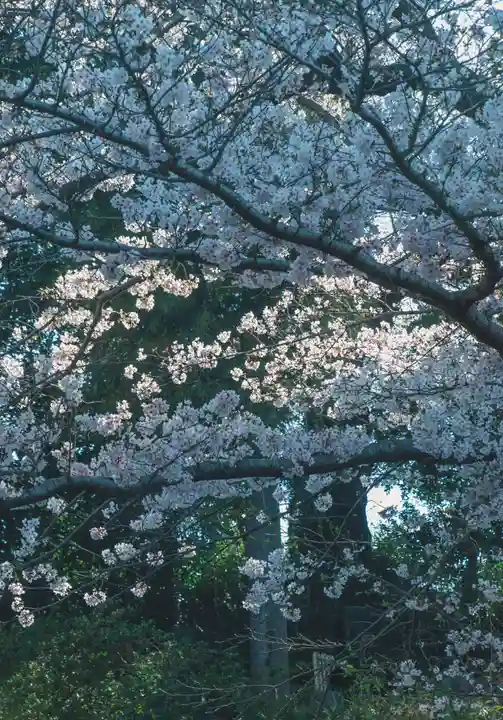 正安寺(神奈川県)