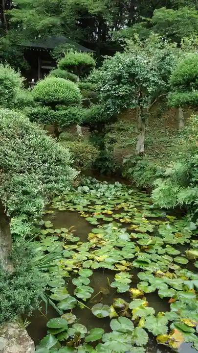 真浄寺の庭園