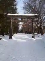 信濃神社の鳥居