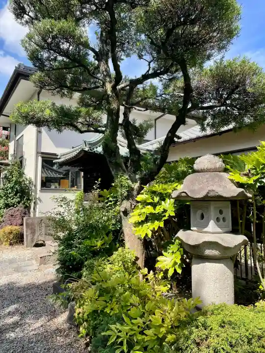 清浄寺(埼玉県)