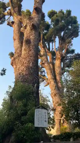 西大寺(岡山県)