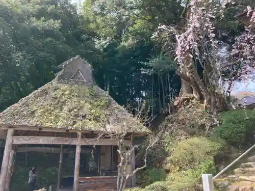 妙成寺の{uncategorized: "未分類", other: "その他", undefined: "問題あり", building: "その他建物", grave: "お墓", sacred_gate: "鳥居", guardian: "狛犬", statue: "像", buddha: "仏像", history: "歴史", nature: "自然", garden: "庭園", animal: "動物", pagoda: "塔", temizu: "手水舎", mountain_gate: "山門・神門", sanctuary: "本殿・本堂", subordinate: "末社・摂社", art: "芸術", scenery: "景色", jizo: "地蔵", ema: "絵馬", goshuin: "御朱印", omikuji: "おみくじ", items: "授与品その他", amulet: "お守り", goshuincho: "御朱印帳", eats: "食事", festival: "お祭り", votive_dance: "神楽", shichigosan: "七五三参", wedding: "結婚式", experience: "体験その他", initially: "初詣", around: "周辺", anti_infection: "感染症対策"}