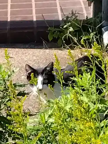 五郎兵衛稲荷神社(茨城県)