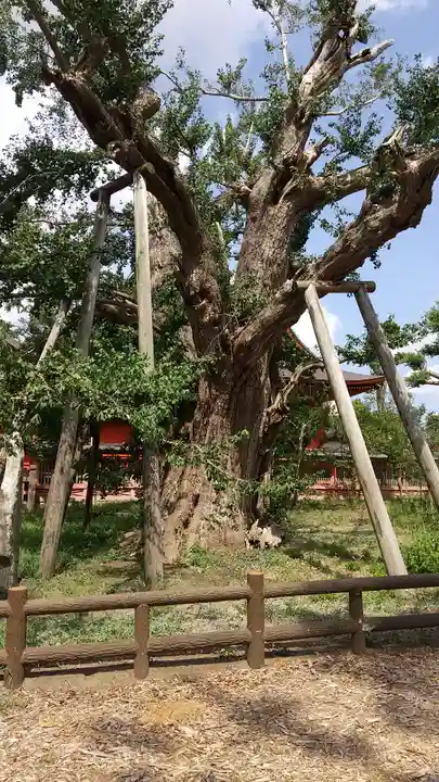 飯香岡八幡宮のその他建物