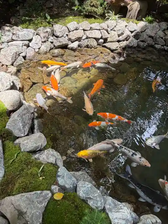 秩父神社(埼玉県)