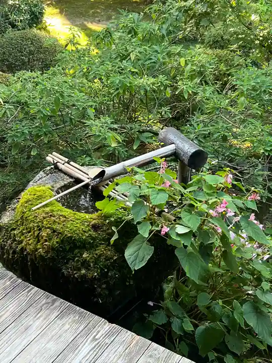 宝泉院(京都府)