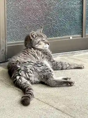 菖蒲神社(埼玉県)