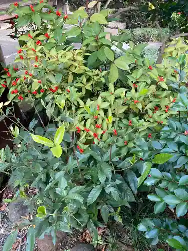 御塔生福寺(神奈川県)