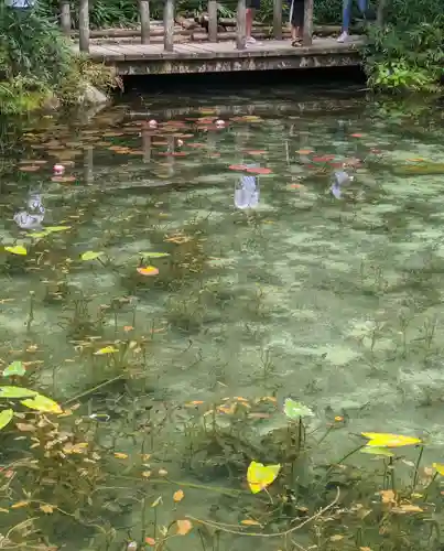 根道神社の庭園