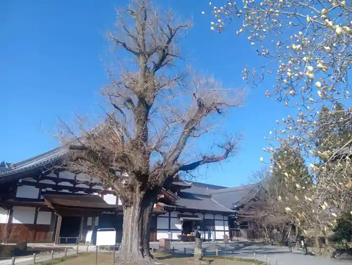 永保寺(岐阜県)