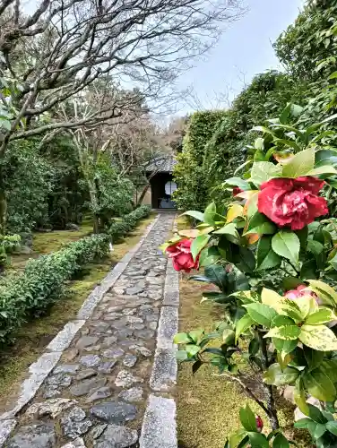 大光院の{uncategorized: "未分類", other: "その他", undefined: "問題あり", building: "その他建物", grave: "お墓", sacred_gate: "鳥居", guardian: "狛犬", statue: "像", buddha: "仏像", history: "歴史", nature: "自然", garden: "庭園", animal: "動物", pagoda: "塔", temizu: "手水舎", mountain_gate: "山門・神門", sanctuary: "本殿・本堂", subordinate: "末社・摂社", art: "芸術", scenery: "景色", jizo: "地蔵", ema: "絵馬", goshuin: "御朱印", omikuji: "おみくじ", items: "授与品その他", amulet: "お守り", goshuincho: "御朱印帳", eats: "食事", festival: "お祭り", votive_dance: "神楽", shichigosan: "七五三参", wedding: "結婚式", experience: "体験その他", initially: "初詣", around: "周辺", anti_infection: "感染症対策"}