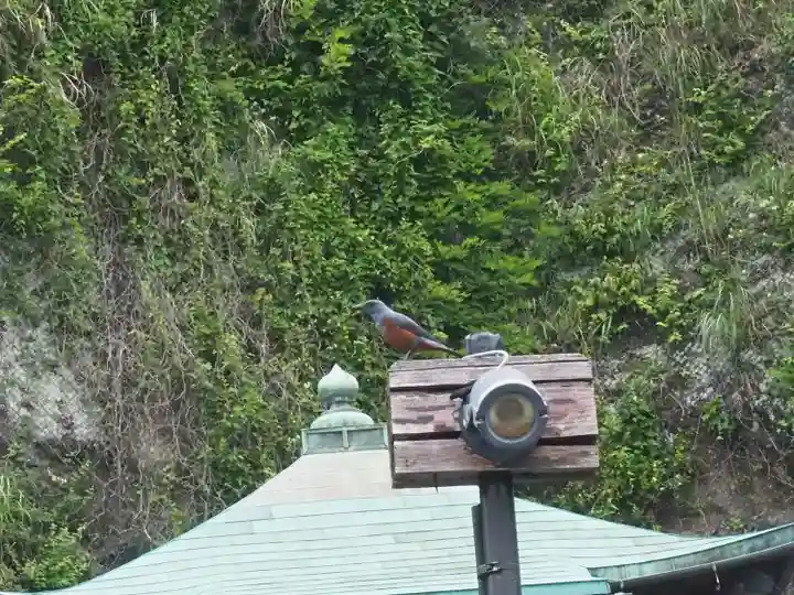 薬王寺(神奈川県)