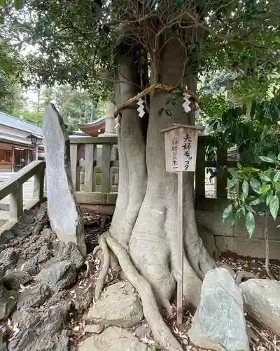 岩槻久伊豆神社(埼玉県)