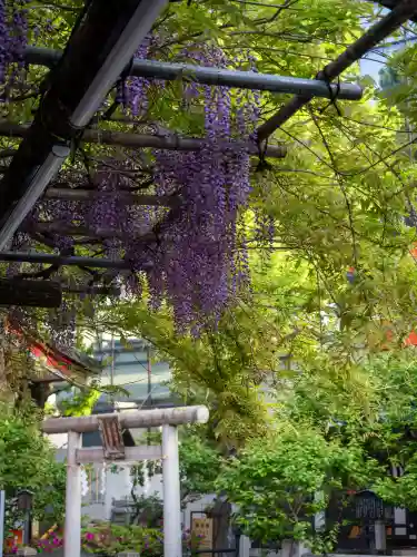 神田神社（神田明神）の{uncategorized: "未分類", other: "その他", undefined: "問題あり", building: "その他建物", grave: "お墓", sacred_gate: "鳥居", guardian: "狛犬", statue: "像", buddha: "仏像", history: "歴史", nature: "自然", garden: "庭園", animal: "動物", pagoda: "塔", temizu: "手水舎", mountain_gate: "山門・神門", sanctuary: "本殿・本堂", subordinate: "末社・摂社", art: "芸術", scenery: "景色", jizo: "地蔵", ema: "絵馬", goshuin: "御朱印", omikuji: "おみくじ", items: "授与品その他", amulet: "お守り", goshuincho: "御朱印帳", eats: "食事", festival: "お祭り", votive_dance: "神楽", shichigosan: "七五三参", wedding: "結婚式", experience: "体験その他", initially: "初詣", around: "周辺", anti_infection: "感染症対策"}