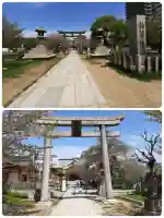 土佐稲荷神社の{uncategorized: "未分類", other: "その他", undefined: "問題あり", building: "その他建物", grave: "お墓", sacred_gate: "鳥居", guardian: "狛犬", statue: "像", buddha: "仏像", history: "歴史", nature: "自然", garden: "庭園", animal: "動物", pagoda: "塔", temizu: "手水舎", mountain_gate: "山門・神門", sanctuary: "本殿・本堂", subordinate: "末社・摂社", art: "芸術", scenery: "景色", jizo: "地蔵", ema: "絵馬", goshuin: "御朱印", omikuji: "おみくじ", items: "授与品その他", amulet: "お守り", goshuincho: "御朱印帳", eats: "食事", festival: "お祭り", votive_dance: "神楽", shichigosan: "七五三参", wedding: "結婚式", experience: "体験その他", initially: "初詣", around: "周辺", anti_infection: "感染症対策"}