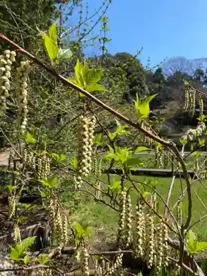 本土寺(千葉県)