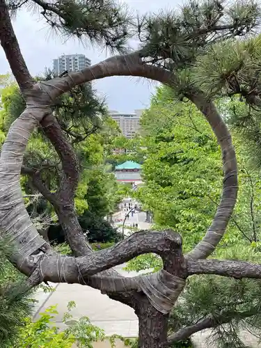 清水観音堂の建物その他