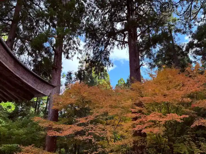 明通寺(福井県)