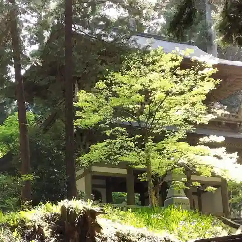 最乗寺（道了尊）(神奈川県)