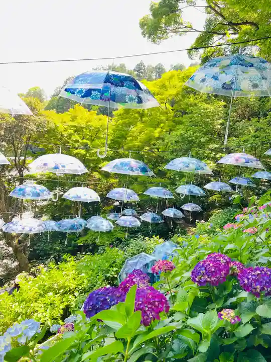 柳谷観音 楊谷寺(京都府)
