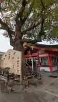 豊中えびす神社(豊中戎神社)(大阪府)