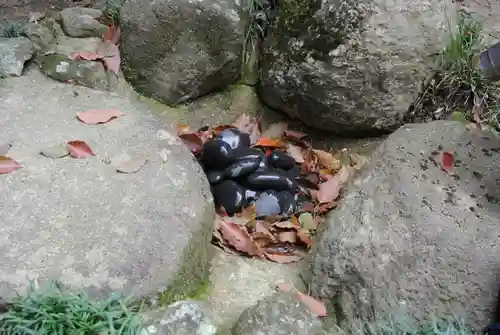 阿智神社の庭園