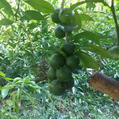 持正院(徳島県)