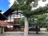 大徳寺(京都府)