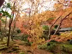 祇王寺(京都府)