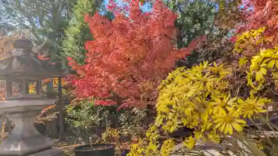 勝林寺(京都府)